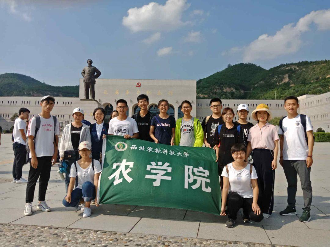 组装机械机甲暴龙2