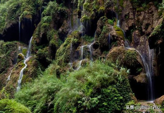 空气凤梨怎么养